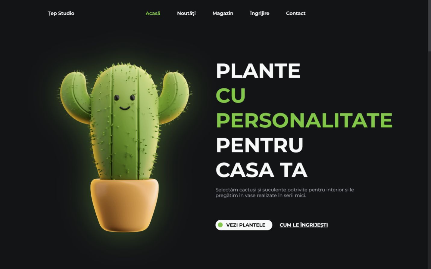 Pagina principală Țep Studio, magazin urban de cactuși și plante